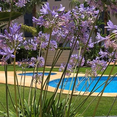 Apartment De Jardines Denia Eksteriør bilde